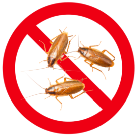 German cockroaches overlaid with red prohibited symbol indicating exclusion.